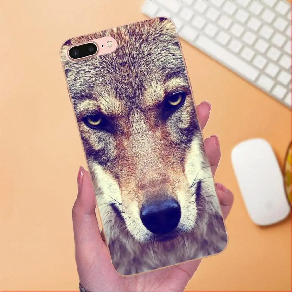 For Galaxy A3 A5 A7 On5 On7 2015 2016 2017 Grand Alpha G850 Core2 Prime S2 I9082 Soft Covers Funny Animal Miniature Husky | Мобильные