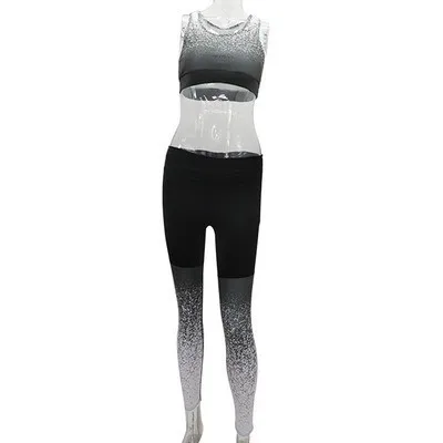 Color C Set 2Pcs Комплект из 2 предметов для фитнеса, женские бесшовные леггинсы с высокой талией, пуш-ап, спортивная одежда для йоги, Женская Спортивная одежда для бега - Цвет: Color C Set 2Pcs