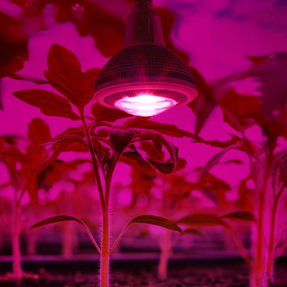 Светодиодный фитолампа полного спектра для выращивания растений 150 Вт 110 В 220 COB