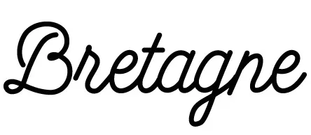 Французские прозрачные штампы для DIY Скрапбукинг/изготовление карт/Дети Рождество забавное украшение поставки