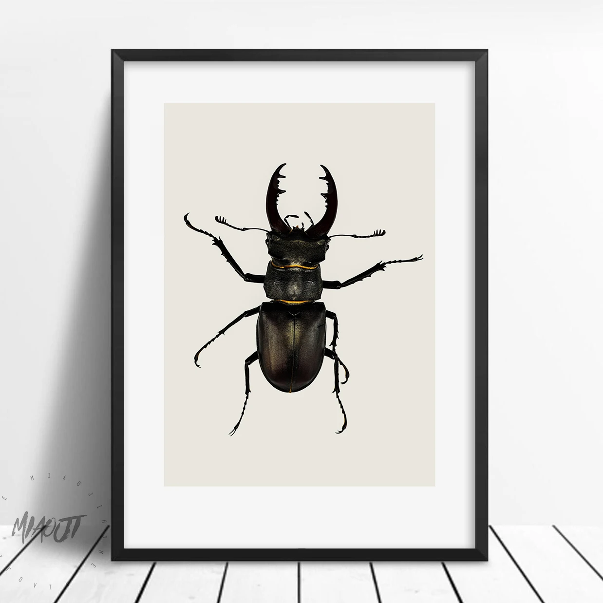 Coleoptera насекомые плакаты настенные художественные печатные картины на холсте для