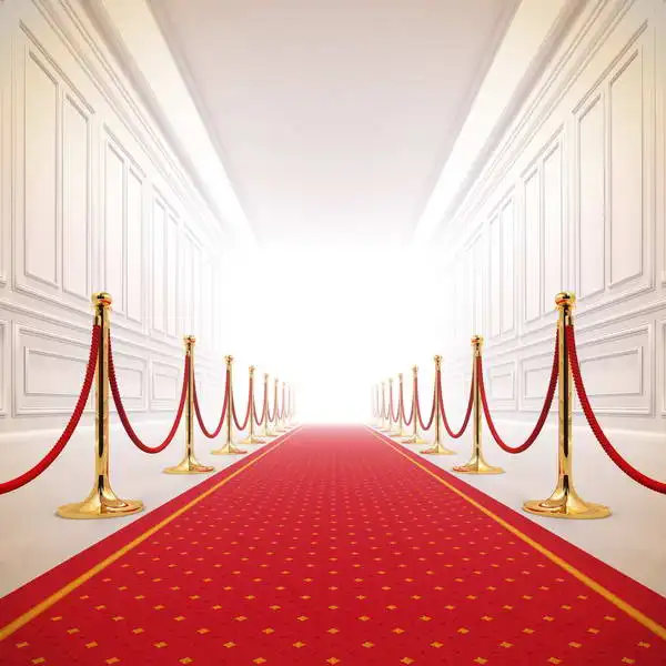

10x10ft Ivory Red Carpet Entrance Great Show Event Seamless Washable Wrinkle Free hoto Background Backdrop Polyester Fabric