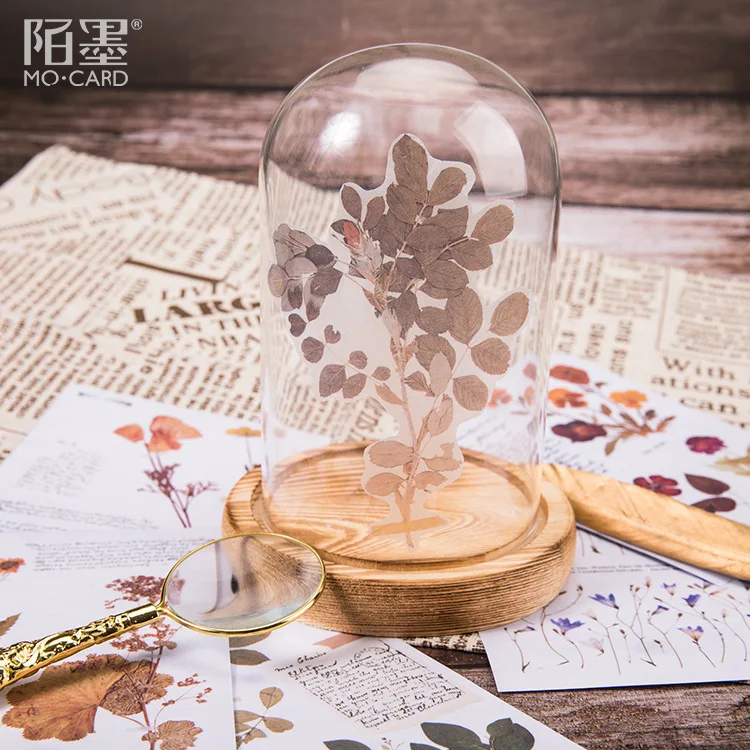 6 шт./упак. винтажный лесной почтовый офис/старая газета/Список жизнедеятельности