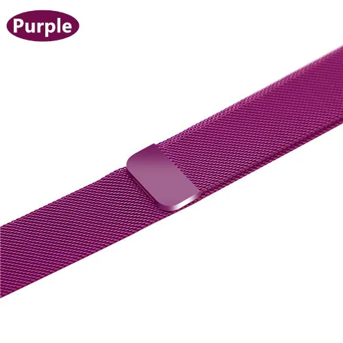 Хохлатый ремешок apple watch band Milanese Loop apple watch 4 3 band iwatch band 42 мм 38 мм correa 44 мм/40 мм pulseira bracelet - Цвет ремешка: Purple