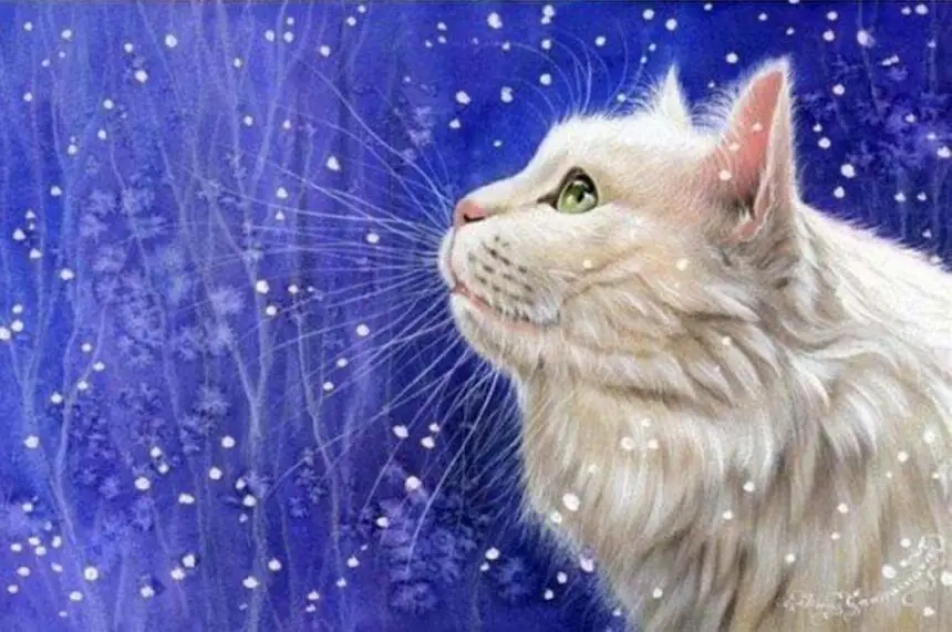 Кристальная картина алмазная живопись 5d diy|crystal picture|diamond paitingpainting crystals |