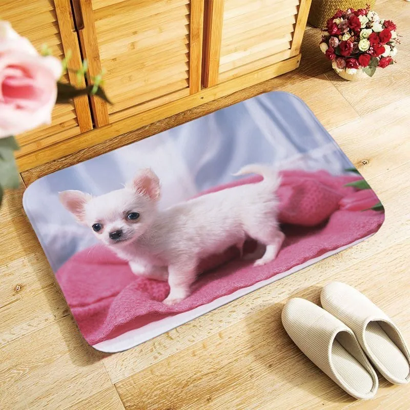 Милый принт с животными Симпатичный кот собака коврик для прихожей кухни