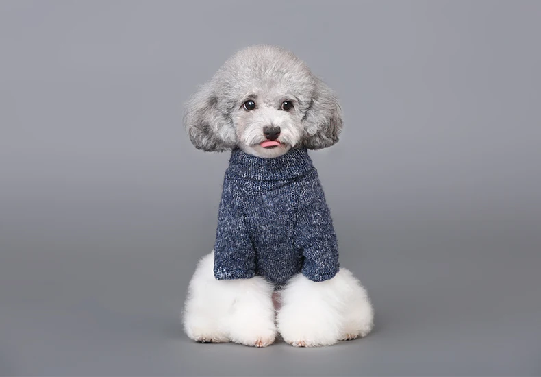 Новинка 2016 года осенне-зимние свитера для котов собак одежда кошек костюм щенков