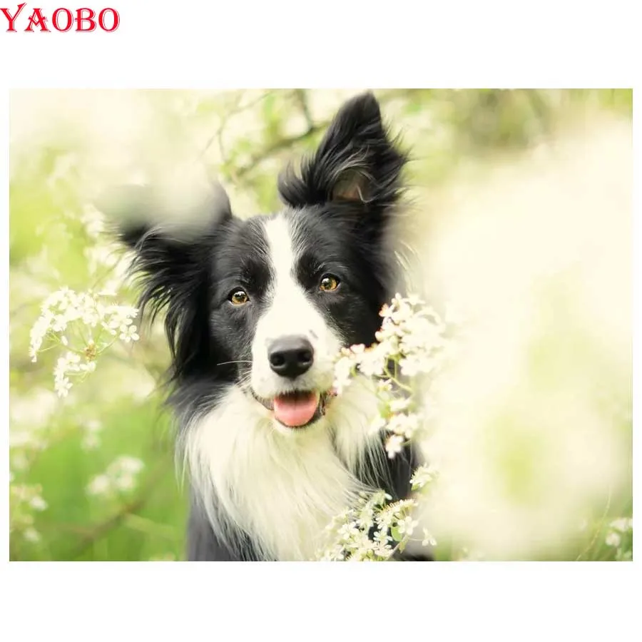 Border collie Алмазная вышивка крестиком Настенная картина Алмазная вышивка собака животное, 5D DIY Алмазная мозаика, рукоделие, рукоделие