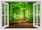 Виниловые наклейки на стену с эффектом 3D, с изображением окон, природного леса