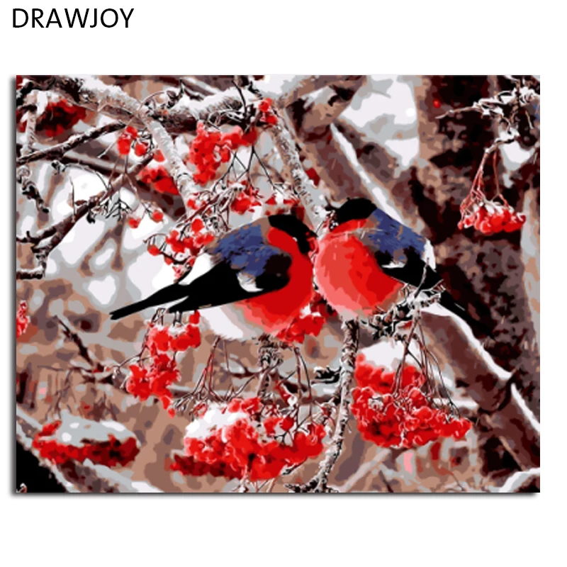 DRAWJOY современные картины в рамке птица и цветок DIY живопись по номерам домашний декор для Гостиной Холст Картина маслом GX8859