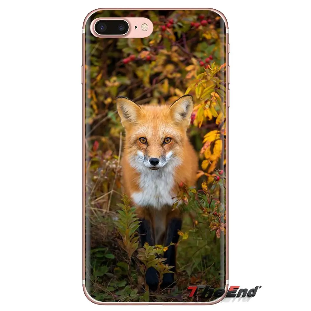 Силиконовые чехлы для телефонов Fennec Fox Sahara of North Africa Samsung Galaxy J1 J2 J3 J4 J5 J6 J7 J8 Plus 2018 Prime