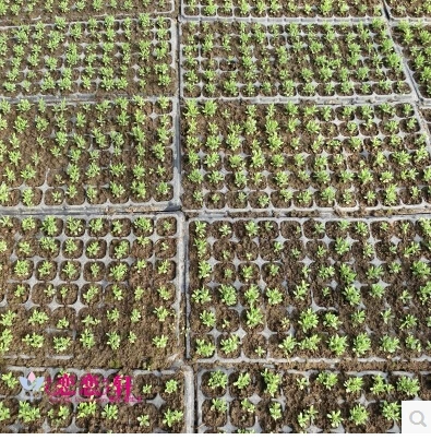 Бесплатная доставка 105 отверстий 3 шт./лот. Оптовая продажа многофункциональный