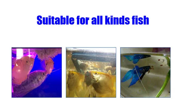 Еда для рыб согревающая сухая вакуумная Артемия Салина тропический аквариум