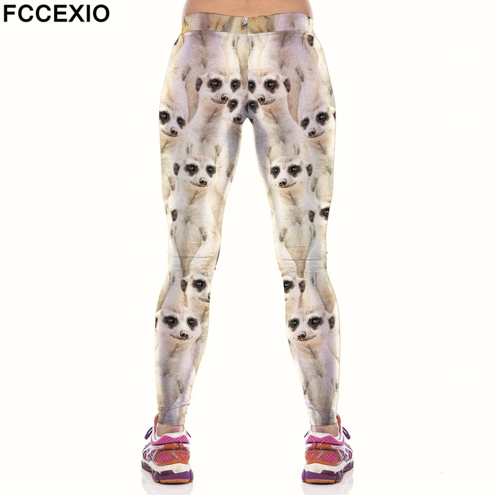 Женские эластичные леггинсы FCCEXIO с принтом щенков и собак штаны для