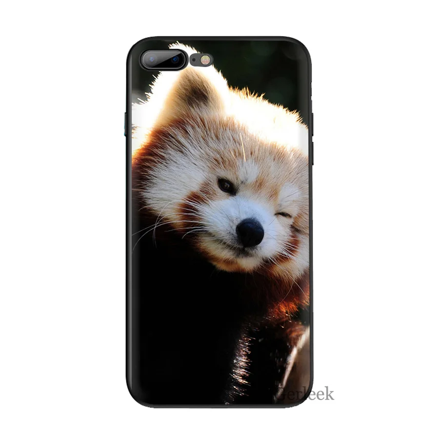 Чехол для телефона енот уникальный дизайн для iPhone 6 6S 5 5S SE XR X XS MAX 8 7 6 Plus - Цвет: B5