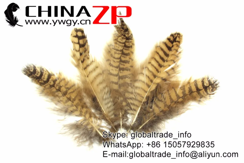 50 шт./Лот 10 15 см 4 6 дюймов|plume feathers|feathers for decorationowl feathers |
