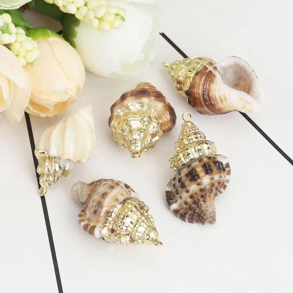 DoreenBeads модные подвески из натуральной раковины Золотая раковина/морская улитка