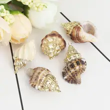 DoreenBeads модные подвески из натуральной раковины Золотая