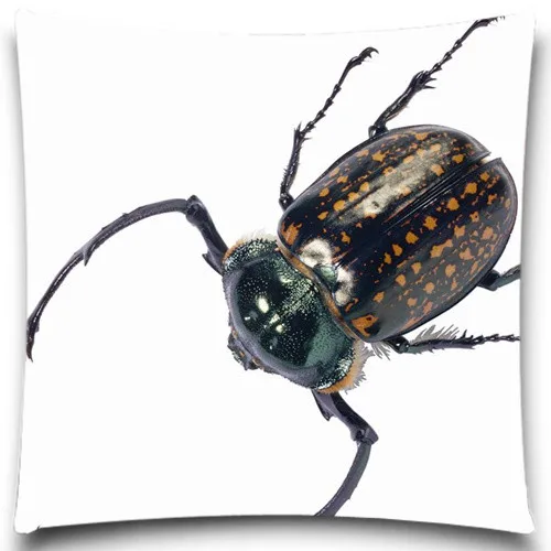 Квадратная наволочка для подушки Beetle/Spider декоративная дома офиса кофе