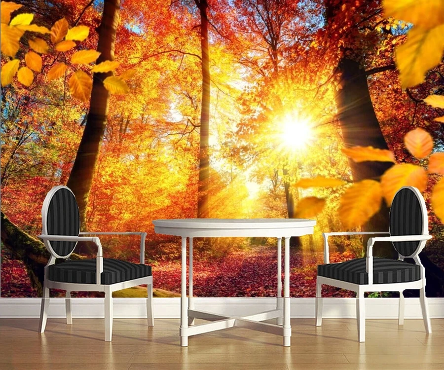 Осенние деревья лучи светильник ствол дерева солнце природа обои отель Ресторан