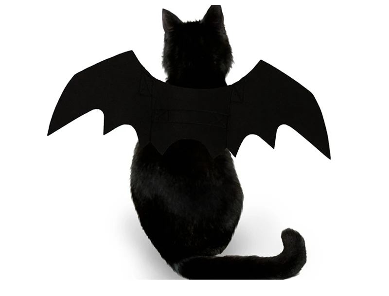 [Магазин MPK] Костюм Кошки на Хэллоуин крылья летучей мыши классный костюм кошки