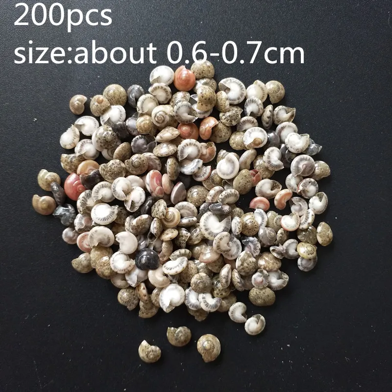 

HappyKiss 0.9-1.5cm 100pcs/lot Natural conch shells mini conch corn screw wall decoration DIY aquarium landscape seashells