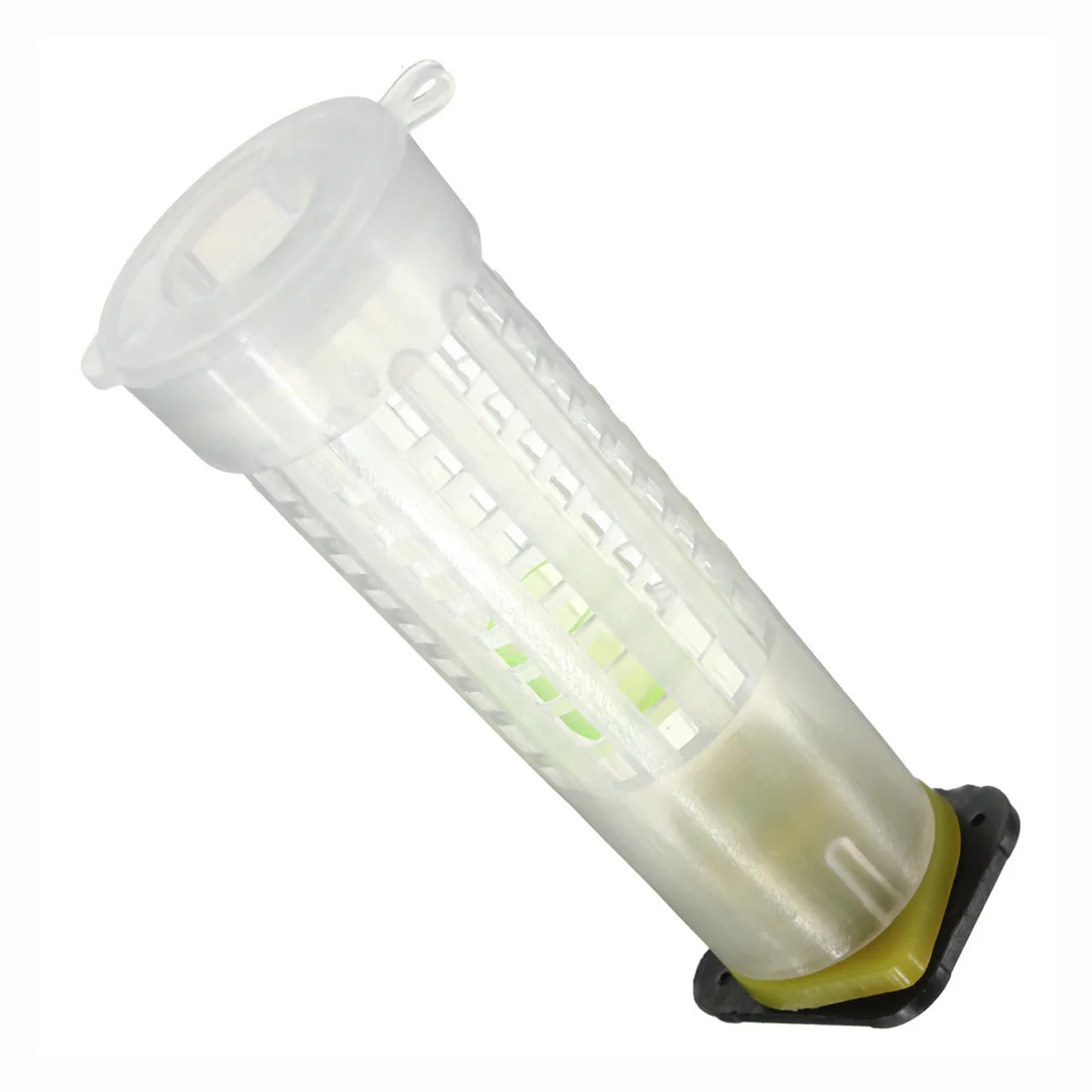 NOCM 5 Пчеловодство Rearing Cup kit Queen Bee волосы роликовые клетки пчеловоды