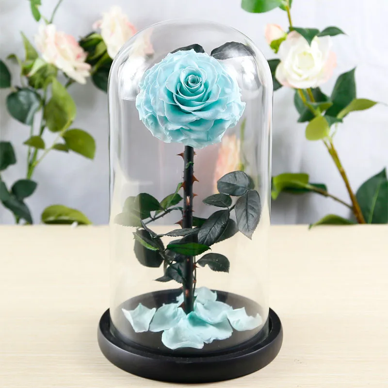 light blue 32 см стеклянная крышка свежесконсервированные розы цветы колючая Роза Флорес для свадьбы свадебные вечерние украшения подарок на день Святого Валентина - Цвет: light blue