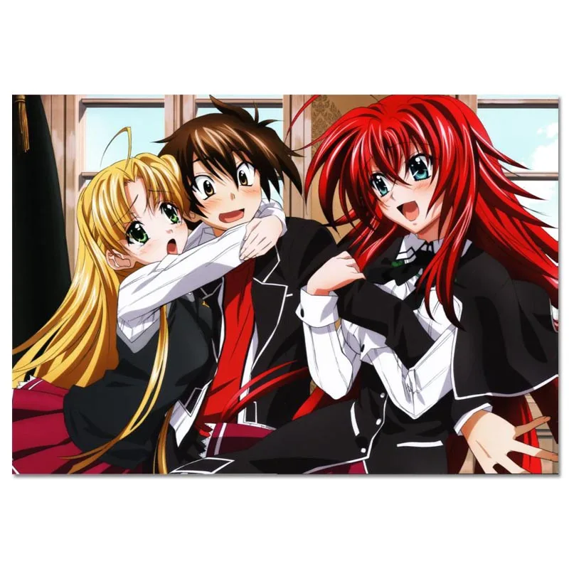 Школьная DxD BorN постер на заказ холст художественная отделочная ткань для дома