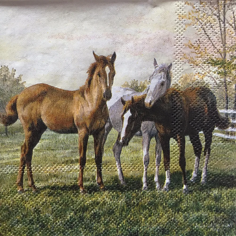 25 см бумажные салфетки милые животные лошадь платок с изображением луга стразы