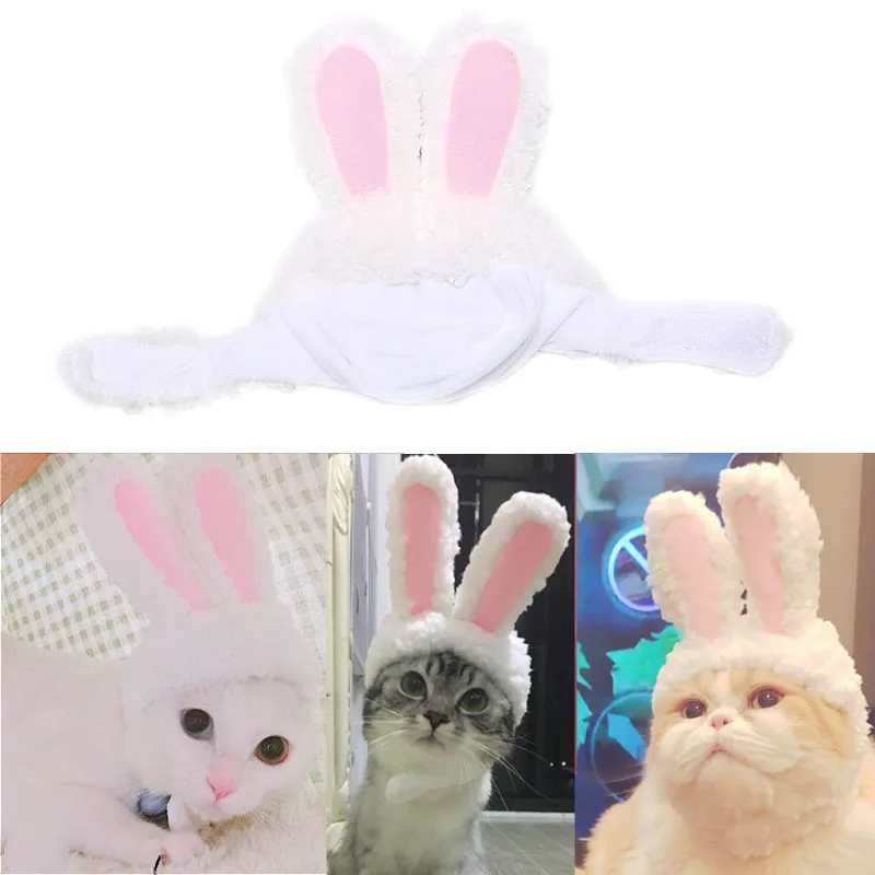

Одежда для кошек, костюм заячьи кроличьи уши, шляпа, кошка, косплей одежда для кошек, костюмы маленькой собаки котята вечерние костюм, товары...