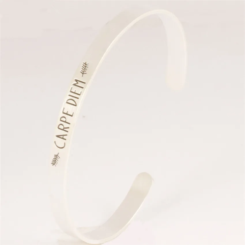 Великолепная сказка Carpe Diem браслет Браслеты Медь Модные украшения 2017 цвета: