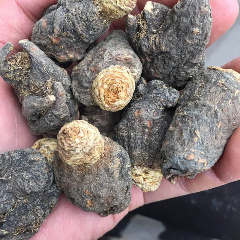 

Black Maca Root,100% Natural Wild Herbal,Dried Maca Max Strength