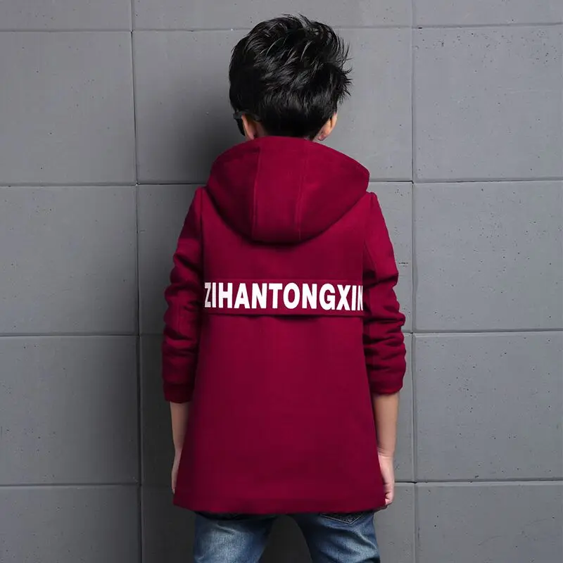 Международная торговля весна-осень 2018 года Повседневная Длинная шерстяная