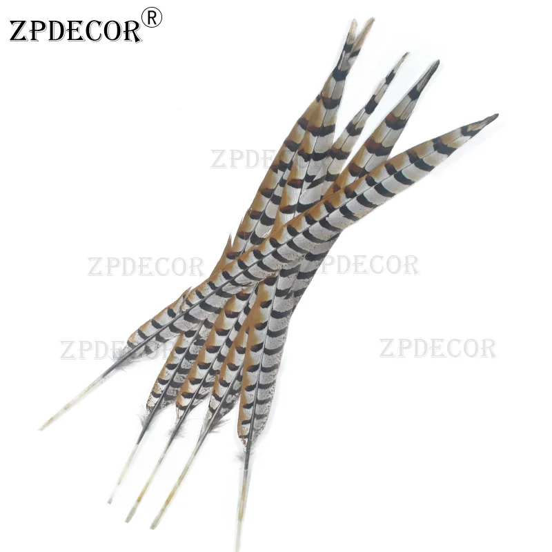 

Zpdecor оптовая продажа 50-60 см 20-24 дюймов Натуральные Reeves Venery перья из хвоста фазана для карнавала дизайн DIY Декор натуральные перья