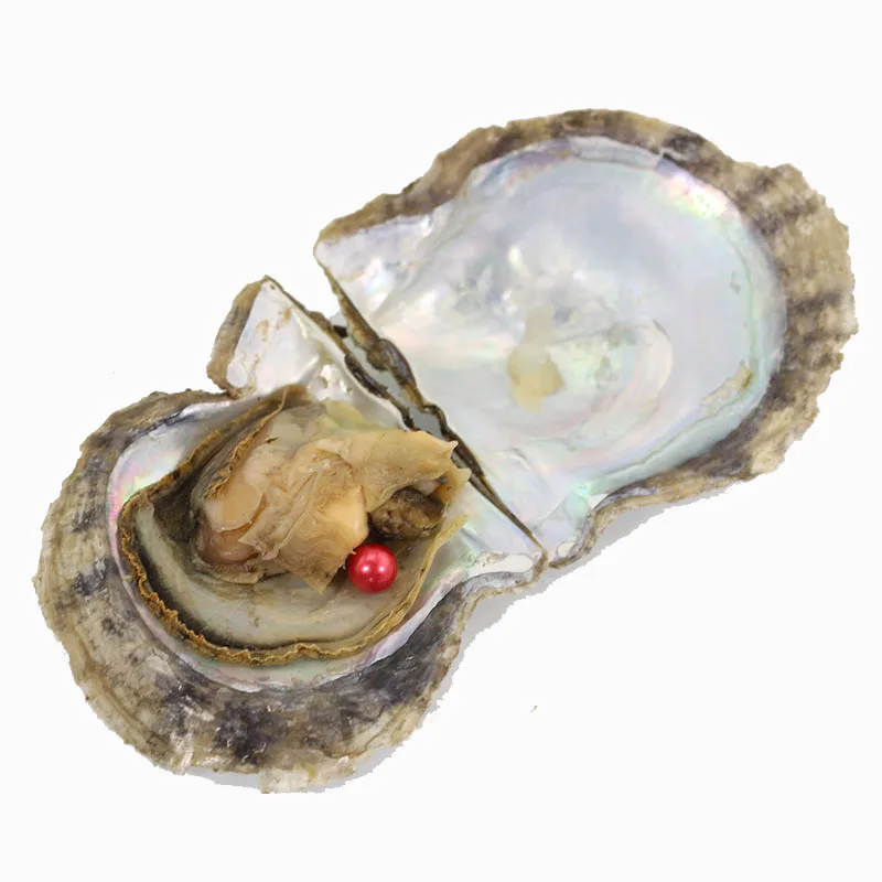 Круглая жемчужная Oysters AAAA + цветная вакуумная упаковка 7-8 мм Мидия