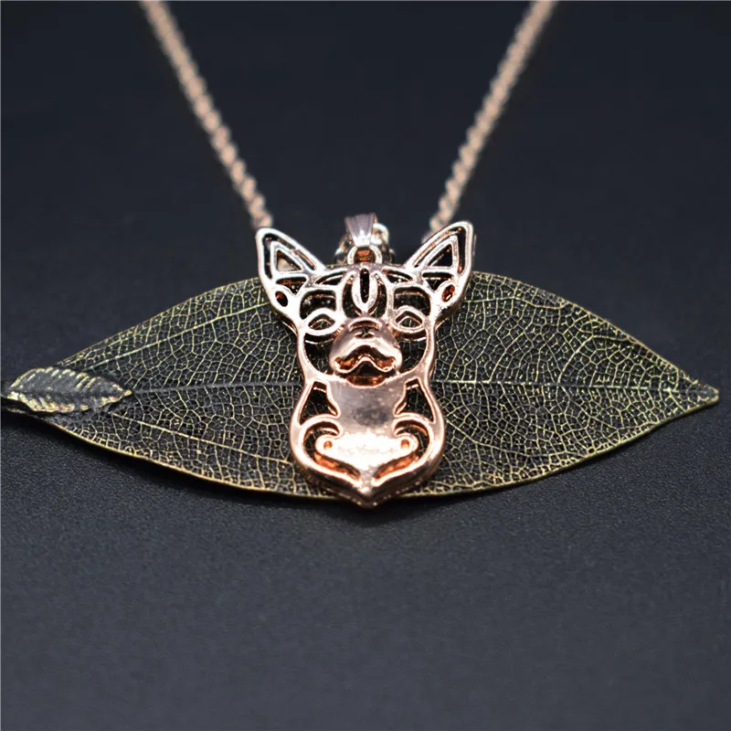 Elfin трендовые ожерелья Чихуахуа золотой цвет серебряный собака ювелирные