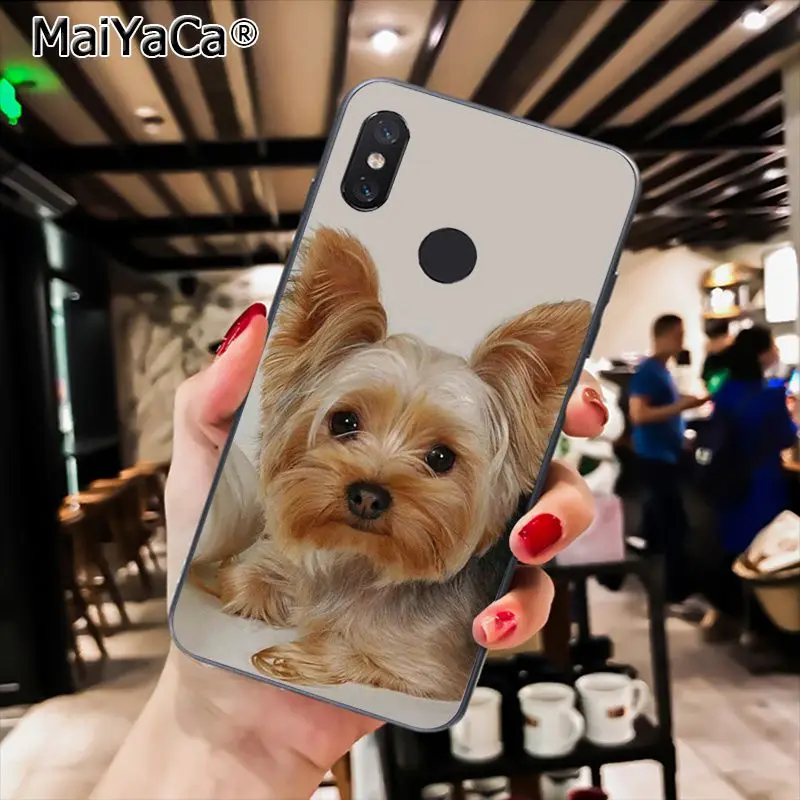 MaiYaCa Westie терьер собака щенок Highland терьер чехол для телефона для Xiaomi Redmi8 4X 6A S2 7A 6A Redmi 5 5Plus Note5 7 Note8Pro