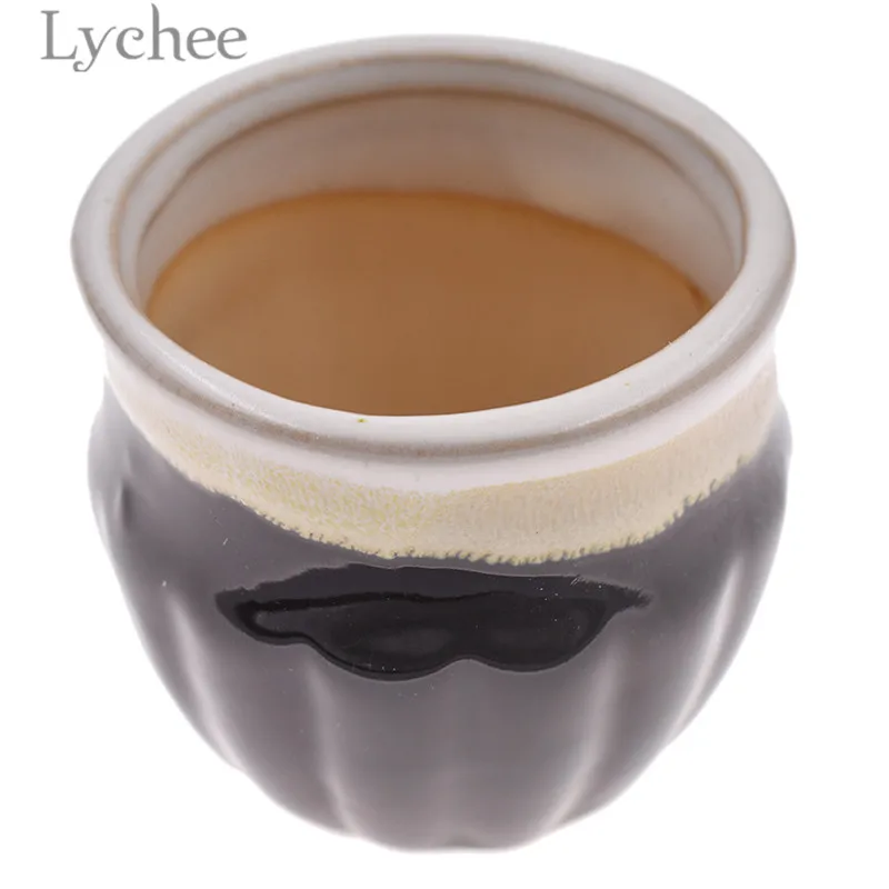 Lychee 6 шт. Глазурованный керамический цветочный горшок наборы зеленое растение