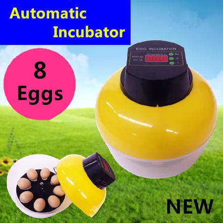 Новый 8 яйца Автоматический Инкубатор Куриного Мяса Птицы Перепела Eggtester