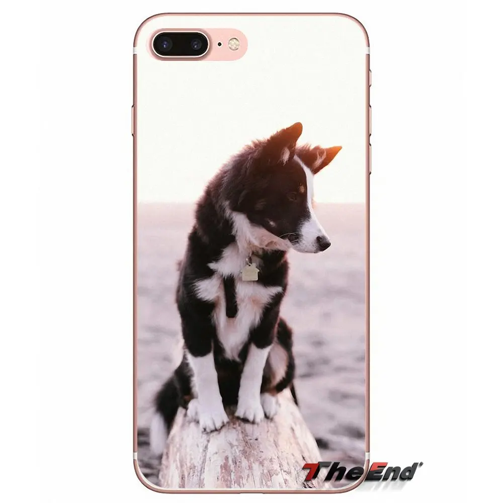 Мягкий силиконовый чехол для iPhone X 4 4S 5 5S 5C SE 6 6S 7 8 Plus Samsung Galaxy J1 J3 J5 J7 A3 A5 2016 2017 Border Collie