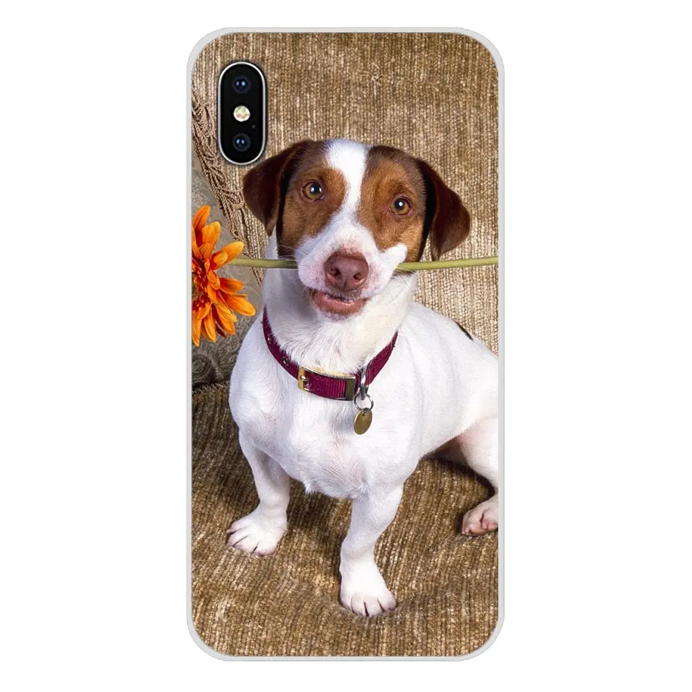 Силиконовый чехол для телефона Jack Russell Terrier Pop Dog Samsung A10 A30 A40 A50 A60 A70 Galaxy S2 Note 2 3 Grand Core