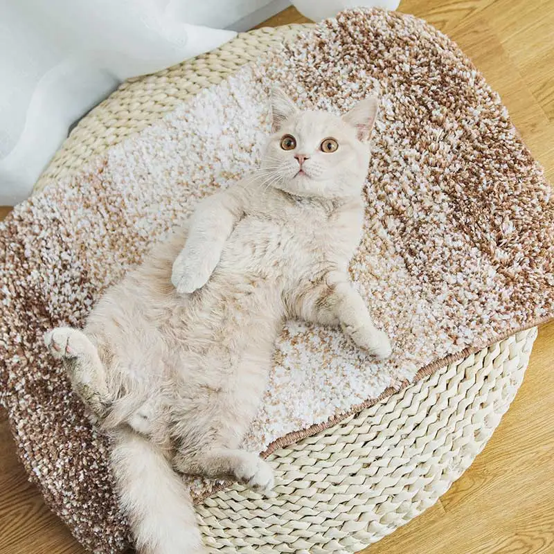 Winter Pet Dog Bed Mat Pads Short Plush Warming Blanket Puppy Cat Fleece Beds For Small Large Dogs Cats Soft Cushion Cama Perro | Дом и сад