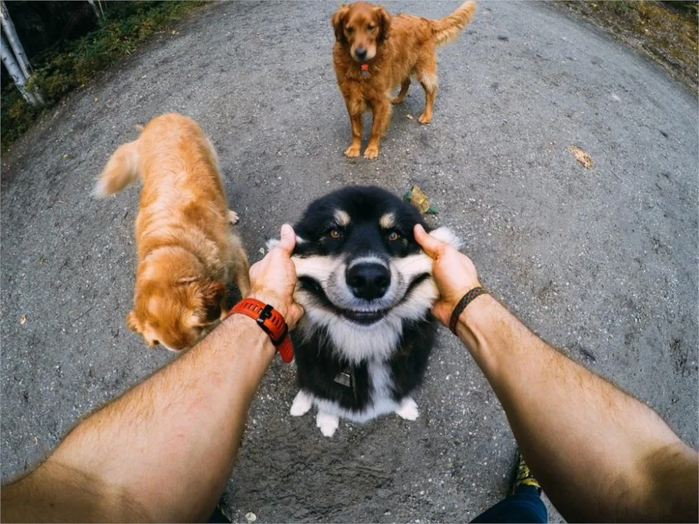 Для GoPro Hero 4 нагрудный ремень головы ремешок поплавок J крюк Адаптер для