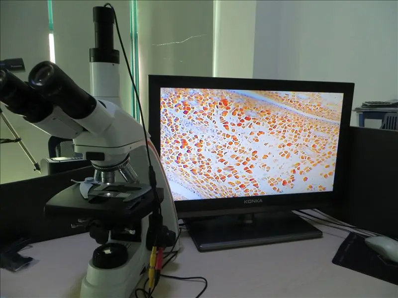 2.0mp HD USB к ПК цифровой окуляр Камера для телескопов Микроскопы фото и видео