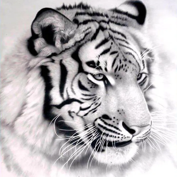 

Новая Алмазная мозаика, полная Алмазная вышивка, бусины, бриллианты, вышивка крестиком, ручная работа с инкрустацией