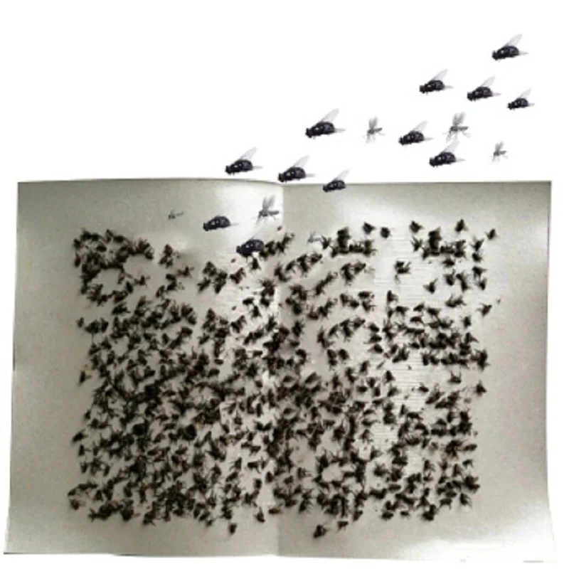 10 шт./лот клейкая доска муха бумага Flytrap Scent Anti Flycatcher ловушка для ловли насекомых