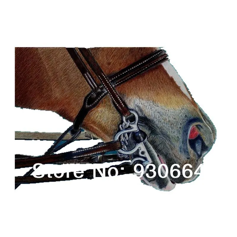 Многослойное длинное бит Pelham из нержавеющей стали никогда не ржавеет лошади 13 5