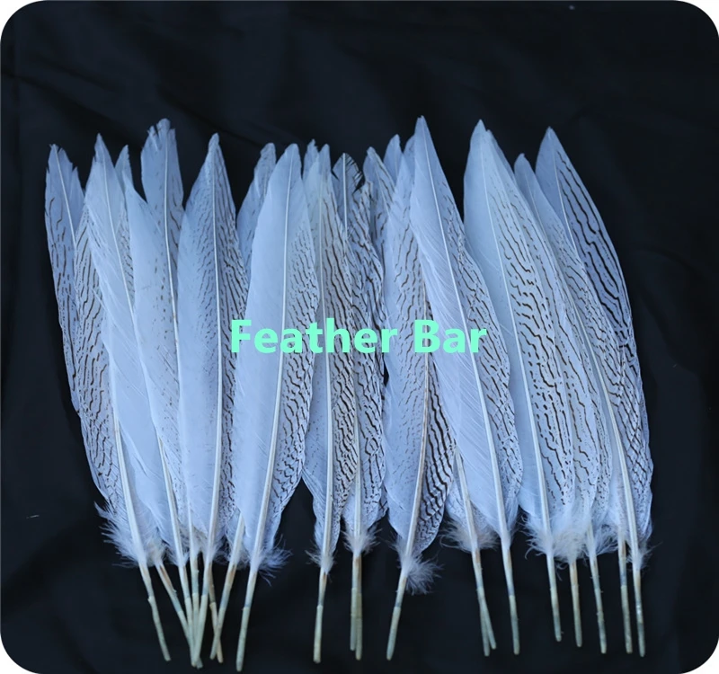 Бесплатная доставка 50 шт./лот белый цвет леди амгерст фазан серебряные перья 60 65