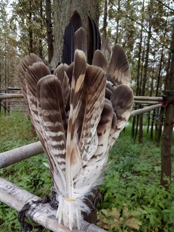 Новинка 2016 натуральные орлиные перья оптом 50 шт 6 13 дюймов/15 32 см|feather 50|natural eagle